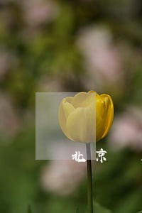 北京 房产 律师事务所 北京 房产 律师事务所